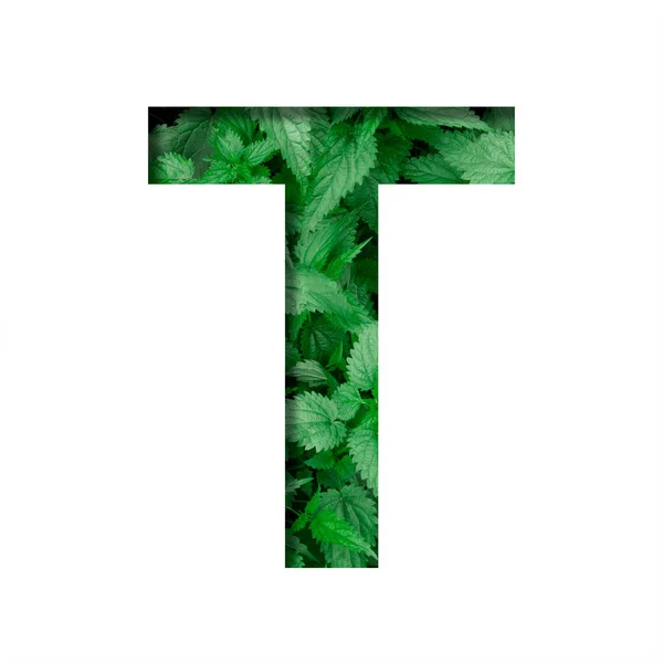 手紙Tで作られたフォントは 自然な緑色のネットワークの背景に紙から切り取られています 新鮮な若い自然葉の体積地球の日フォントセット — ストック写真