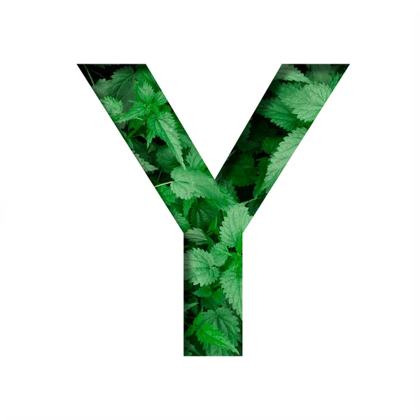 Шрифт Листьев Буква Вырезанный Бумаги Фоне Натуральной Зеленой Крапивы Свежий — стоковое фото