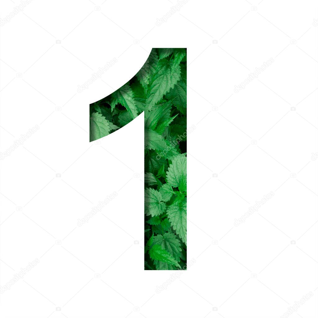 Font made of leaves, digit one, 1, cut out of paper on a background of natural green nettle.Fresh young natural leaf volumetric Earth day font set.