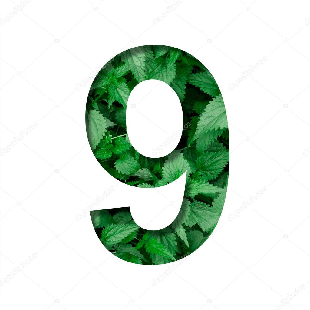 Font made of leaves, digit nine, 9, cut out of paper on a background of natural green nettle. Fresh young natural leaf volumetric Earth day font set.