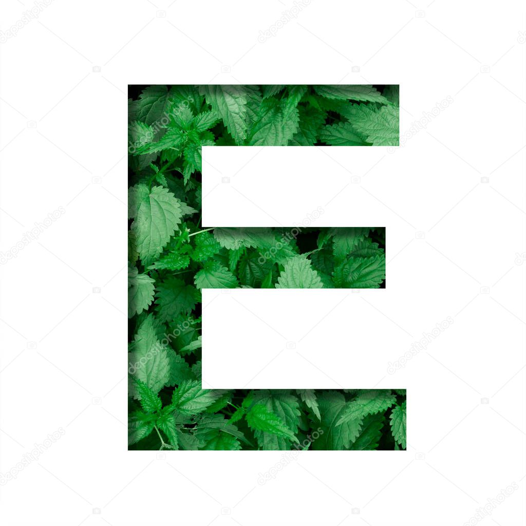 Font made of leaves, letter E, cut out of paper on a background of natural green nettle. Fresh young natural leaf volumetric Earth day font set.