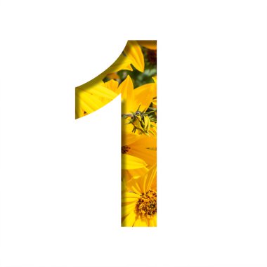 Sonbahar çiçekleri yazı tipi. Bir numara, kağıttan kesilmiş, parlak sarı sonbahar çiçekleri. Bir dizi hacimsel doğal yazı tipi.