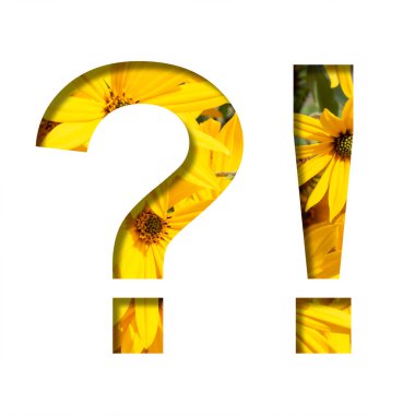 Sonbahar çiçekleri yazı tipi. Parlak sarı sonbahar çiçekleri üzerinde kağıttan kesilmiş ünlem ve soru işaretleri. Bir dizi hacimsel doğal yazı tipi.