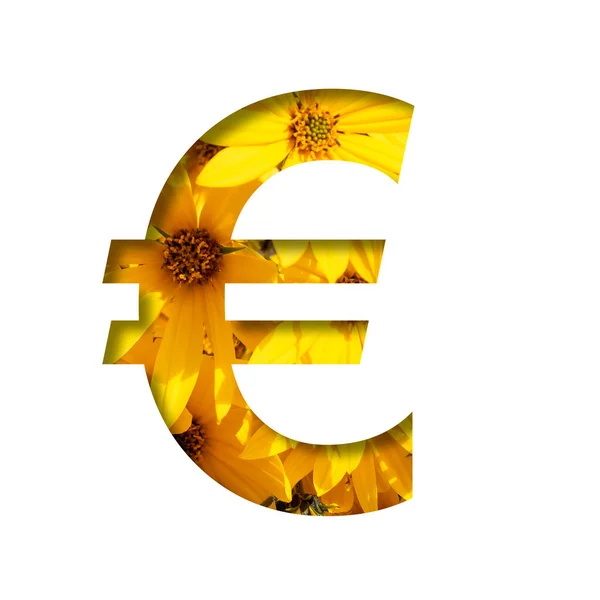 Der Herbst Blüht Aus Papier Geschnittenes Euro Geldsymbol Auf Einem — Stockfoto