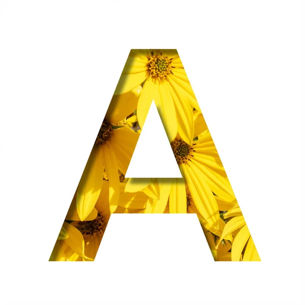 秋花字体 从纸上剪下来的一封信 背景是明亮的黄色秋天的花朵 一套体积小的自然字体 — 图库照片