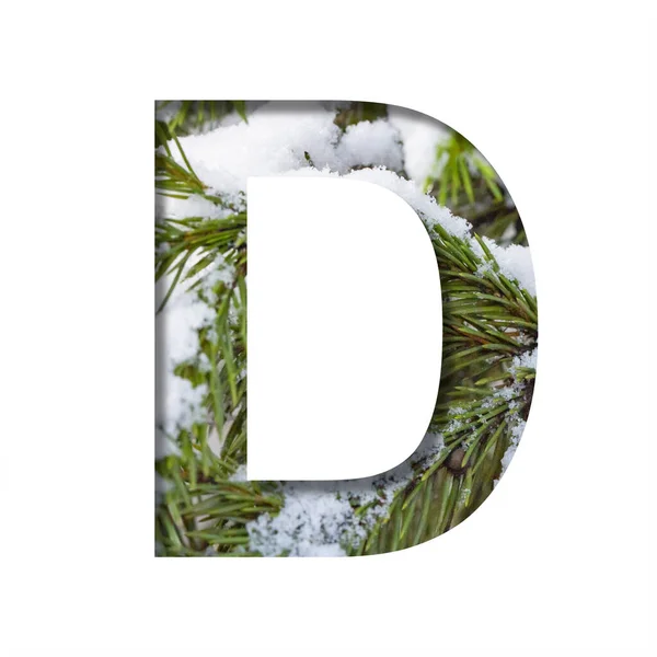 冬季字体 字母D 在雪白的冬季冷杉树枝的背景下从纸上剪下来的 一套体积庞大的自然字体 适用于圣诞节签名 — 图库照片