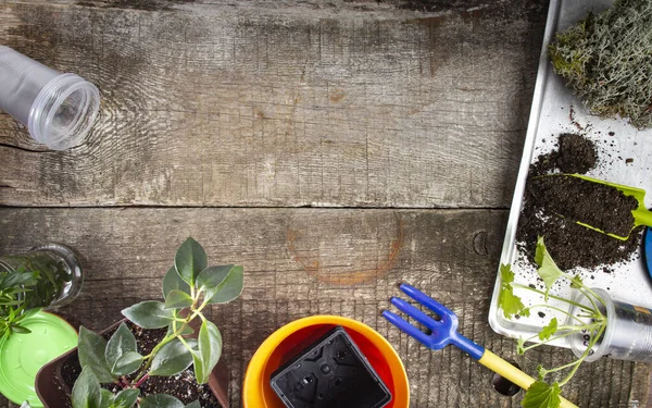 Fond Rustique Vieilles Planches Avec Accessoires Pour Jardinage Maison Floriculture — Photo