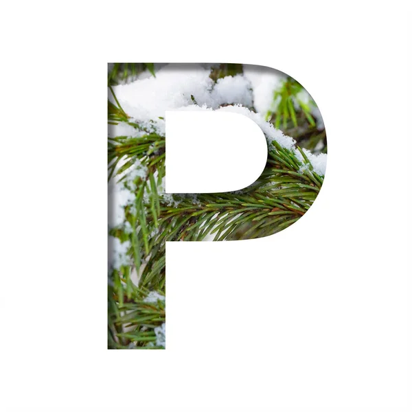 冬のフォント 冬のモミの枝の背景を雪で切り取った手紙P クリスマスの署名に適したボリュームのある自然なフォントのセット — ストック写真