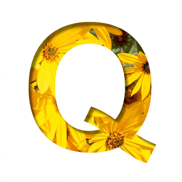 秋の花のフォント 明るい黄色の秋の花を背景に紙からカットされた手紙Q ボリューメトリックな自然フォントのセット — ストック写真