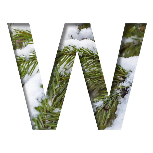 冬季字体 字母W 在白雪覆盖的冬季冷杉枝干的背景下从纸上剪下来 一套体积庞大的自然字体 适用于圣诞节签名 — 图库照片