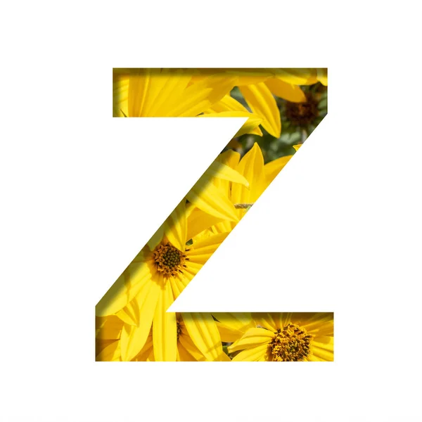 秋花字体 字母Z从纸张上剪下来 背景是明亮的黄色秋花 一套体积小的自然字体 — 图库照片