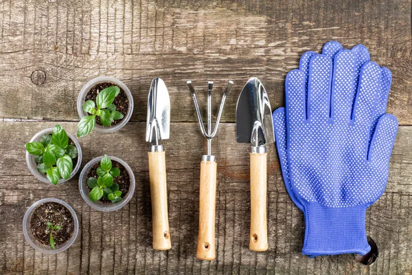 Attrezzi Giardinaggio Guanti Bicchieri Con Piantine Vecchio Tavolo Legno Rustico — Foto Stock