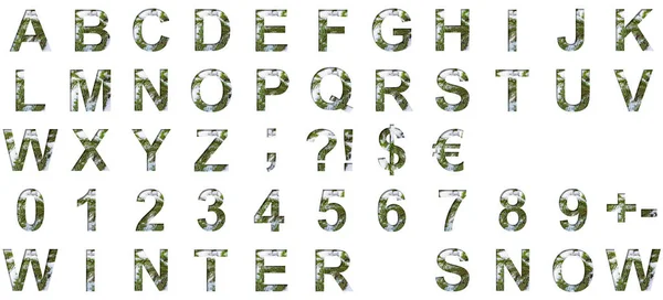 Set of dragon skin font. Alphabet letters ABCDEFGHIJKLMNOPQRSTUVWXYZ and  digits 1234567890 set cut out of paper on the background of the dark green  skin of a mystical dragon with scales. Stock Illustration