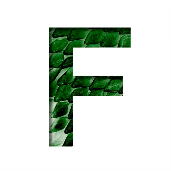 龙皮字体字母F在深绿色皮肤的背景上刻了出来的纸与鳞片龙的神秘 一套装饰字体 — 图库照片