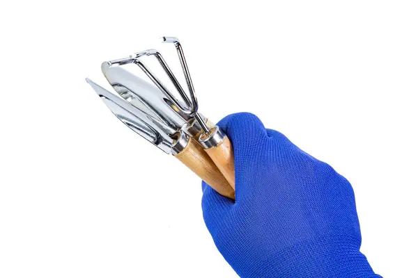 Gardening Tools Shovel Rake Home Gardening Hand Man Work Glove — Stock Photo, Image