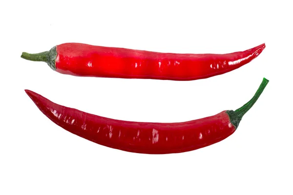 Twee Chili Pepers Wit Geïsoleerd Bovenaanzicht — Stockfoto