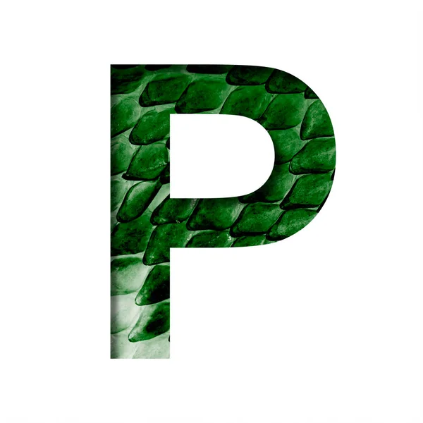 ドラゴンスキンフォント Pという文字は 鱗のある神秘的な竜の濃い緑色の肌を背景に切り取られています 装飾フォントのセット — ストック写真