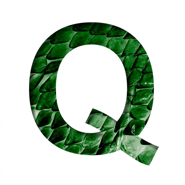 龙皮字体字母Q在深绿色皮肤的背景上刻了出来的纸与鳞片龙的神秘 一套装饰字体 — 图库照片