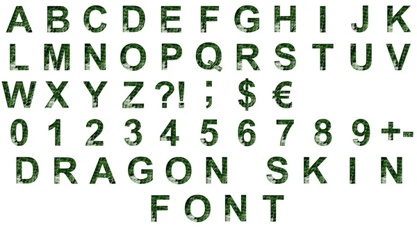 ドラゴンスキンフォントのセット アルファベット文字Abcdefghijklmnopqrstuvwyzと数字1234567890は 鱗を持つ神秘的な龍の暗い緑の肌の背景に紙のカット — ストック写真