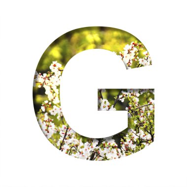 Bahar güneşli yazı tipi. G harfi, güneşli bir bahar gününde kiraz çiçeğinin arka planında kağıttan kesilmiş. Dekoratif doğal yazı tipleri seti.