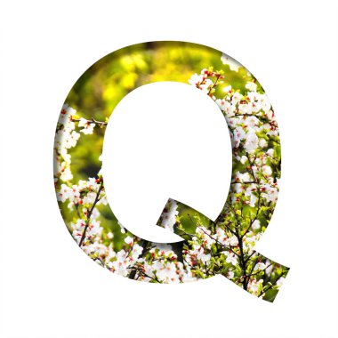 Bahar güneşli yazı tipi. Q 'nun, güneşli bir bahar gününde kiraz çiçeğinin arka planında kağıttan kestiği mektup. Dekoratif doğal yazı tipleri seti.