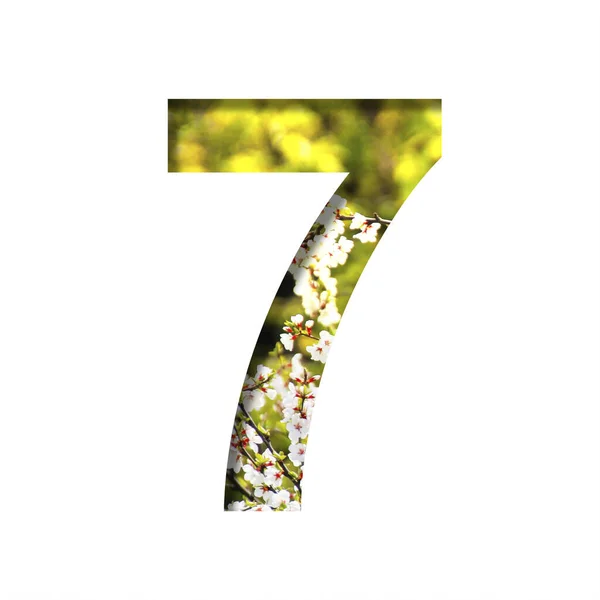春光明媚的字体在一个阳光灿烂的春日 数字7 7在开花结果的樱花背景下剪下了一张纸 一套装饰自然字体 — 图库照片