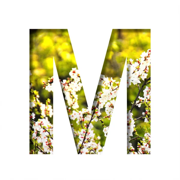 Frühling Sonnig Der Buchstabe Aus Papier Auf Dem Hintergrund Blühender — Stockfoto