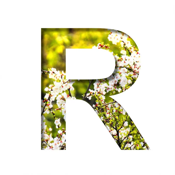 春光明媚的字体在一个阳光明媚的春日 在盛开的樱花的背景下 字母R从纸上剪下来 一套装饰自然字体 — 图库照片