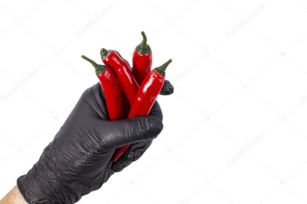 A bunch of red hot chili peppers in the hand of a man in a black glove close-up.