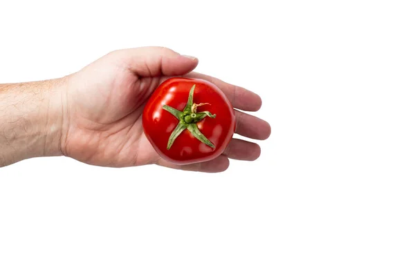 Pomodoro Rosso Maturo Nella Mano Uomo Uno Sfondo Bianco Isolato — Foto Stock