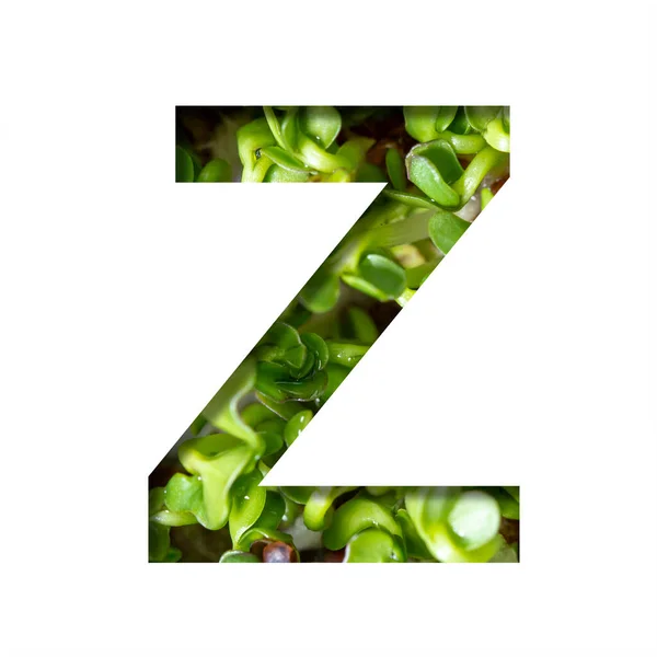 小绿色字体 字母Z从纸上剪下来 背景是新鲜鲜亮的微绿色食物 一套装饰自然字体 — 图库照片