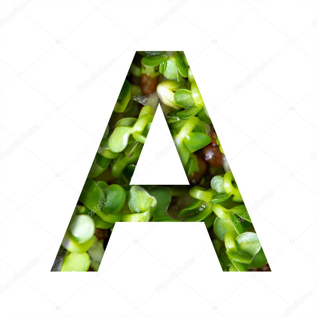 Font on micro greenery.The letter A cut out of paper on the background of sprouts of fresh bright micro greenery for food. Set of decorative natural fonts.