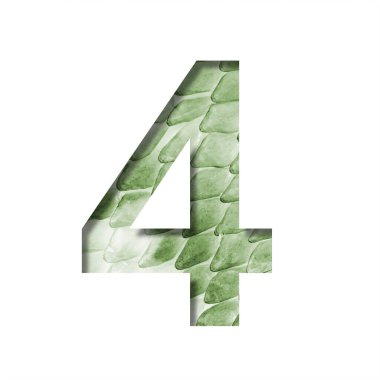 Yılan pulları yazı tipi. Büyük pullu yeşil yılan derisinin arka planında dört haneli bir kağıt kesiği var. Dekoratif yazı tipleri kümesi.