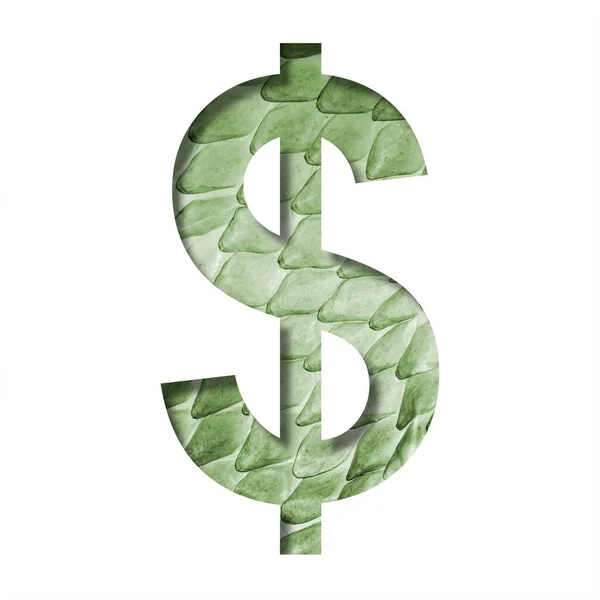 Slangenhuid Lettertype Dollar Money Business Symbool Gesneden Uit Papier Achtergrond — Stockfoto