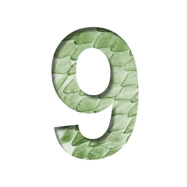 Snake Scales Font Digit Nine Cut Out Paper Background Green — Stock Photo, Image
