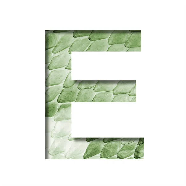 Snake Scales Font Letter Cut Out Paper Background Green Snake — Stock Photo, Image