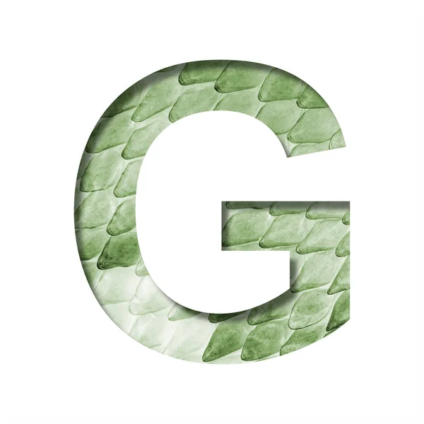 Snake Scales Font Letter Cut Out Paper Background Green Snake — Stock Photo, Image