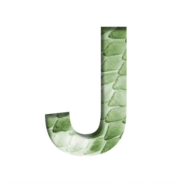 Slangenschubben Lettertype Letter Uit Papier Gesneden Achtergrond Van Een Groene — Stockfoto