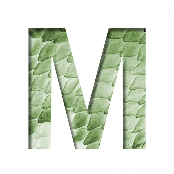 Slangenschubben Lettertype Letter Uit Papier Gesneden Achtergrond Van Een Groene — Stockfoto