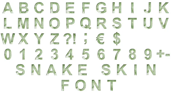 スネークスケールフォント アルファベット文字Abcdefghijklmnopqrstuvwyzと数字1234567890は 大規模なスケールと緑のヘビの皮膚の背景に紙のカット — ストック写真