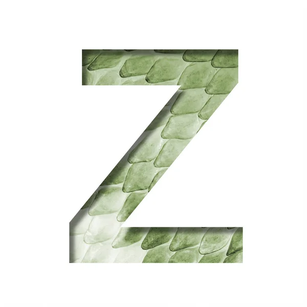 スネークスケールフォント 文字Zは 大きな鱗を持つ緑のヘビの皮の背景に紙から切り取られました 装飾フォントのセット — ストック写真