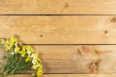 Kırsal ahşap bir masa üzerinde sarı bahar çiçekleri kompozisyonu çerçeve, düz katman, kopyalama alanı.