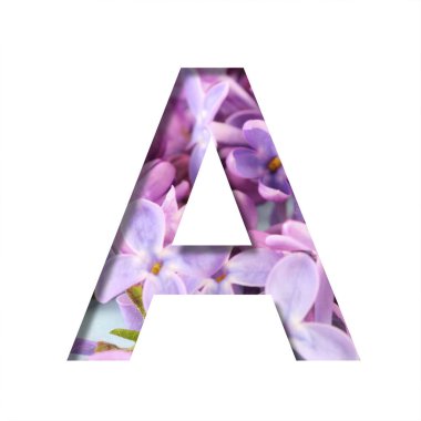 Leylak rengi bahar çiçekleri yazı tipi. A harfi, parlak bahar çiçeklerinin arka planında beyazdan kesilmiş. Dekoratif doğal yazı tipleri seti.