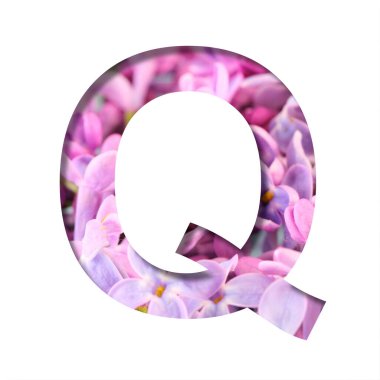 Leylak rengi bahar çiçekleri yazı tipi. Q harfi, parlak bahar çiçekleri olan leylağın arka planında beyazdan kesilmiş. Dekoratif doğal yazı tipleri seti.