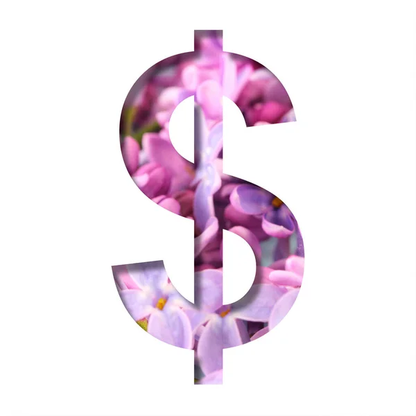 Lilac Spring Flowers Font Dinheiro Dólar Símbolo Negócio Cortado Branco — Fotografia de Stock