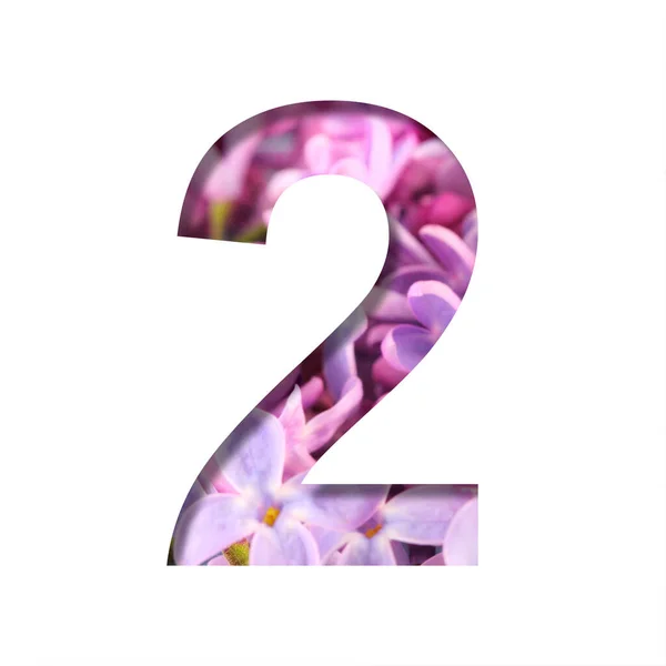 Lilac Spring Flowers Font Dígito Dois Cortado Branco Fundo Flores — Fotografia de Stock