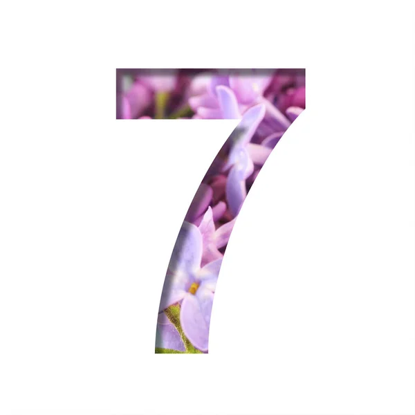 Fliederfarbene Frühlingsblumen Ziffer Sieben Ausgeschnitten Aus Weiß Auf Dem Hintergrund — Stockfoto