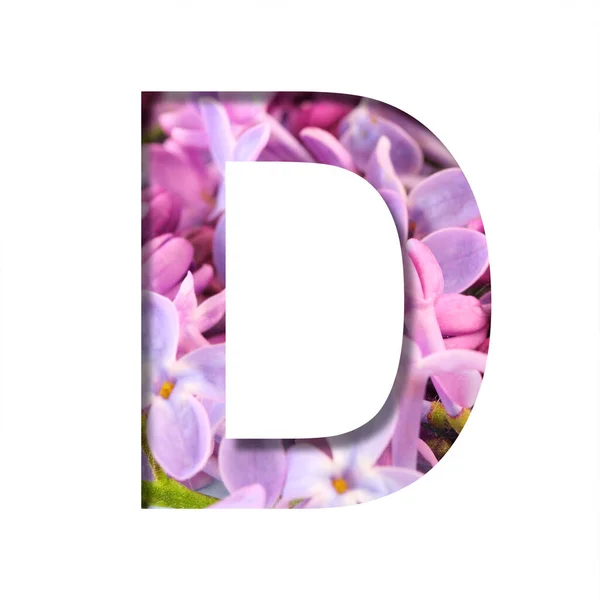 丁香春花字体 字母D在淡紫色鲜艳的春花的衬托下从白色中剪下来 一套装饰自然字体 — 图库照片