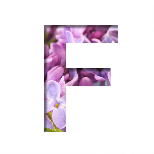 Lilac Spring Flowers Font Letra Cortada Branco Fundo Flores Primavera — Fotografia de Stock