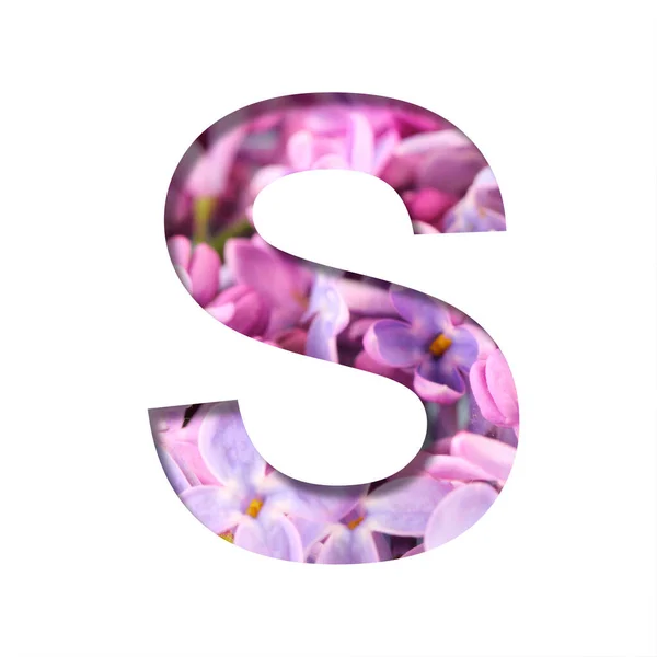 Lilac Voorjaar Bloemen Lettertype Letter Gesneden Uit Wit Achtergrond Van — Stockfoto